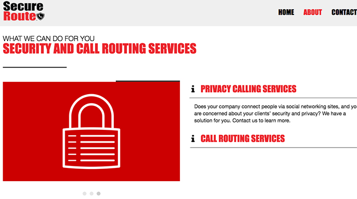 Image of Secure Route, Inc Home Page