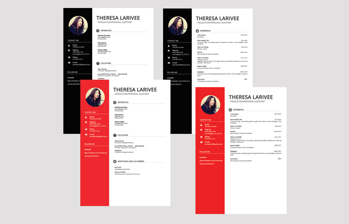 Image of Theresa Larivee Resume Example